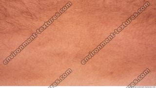 Photo Textures of Human Skin